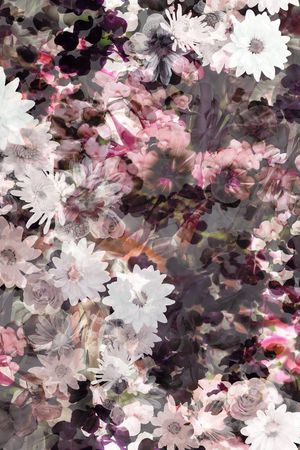 花卉印花花型图片