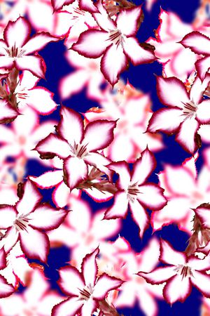 时尚抽象3D女装裙子花卉印花印花花型图片