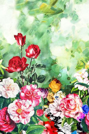 女装定位印花花型图片