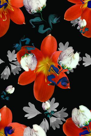 乱花印花花型图片