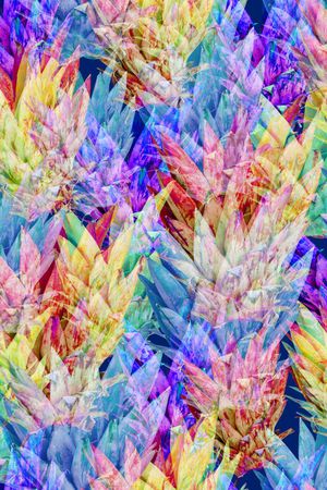 泳装印花花型图片