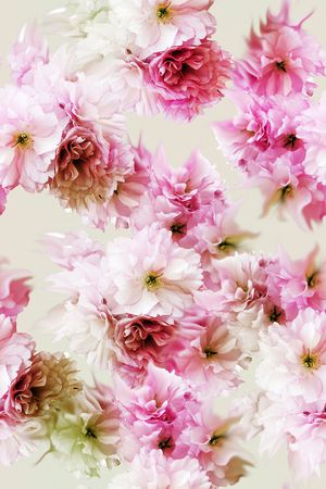 抽象花绘印花花型图片