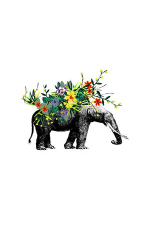 花卉印花花型图片