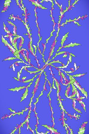 海洋元素长巾印花花型图片