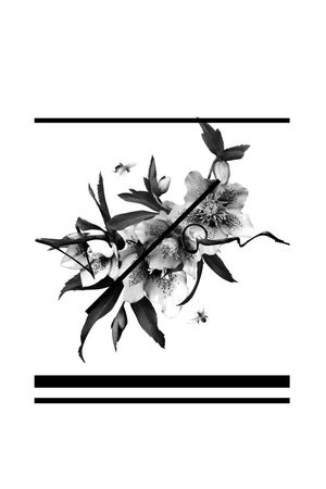 简单大气的花卉印花花型图片