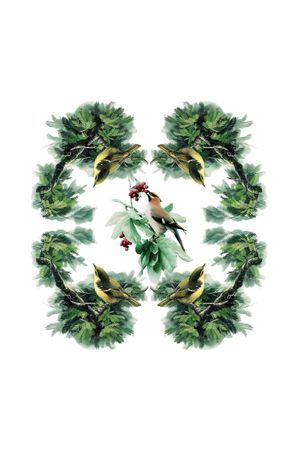 潮流男装印花花型图片