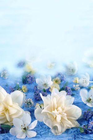 花卉印花花型图片