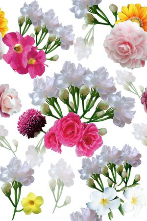 乱花印花花型图片