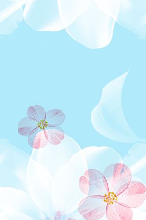 花卉丝巾沙滩巾印花花型图片