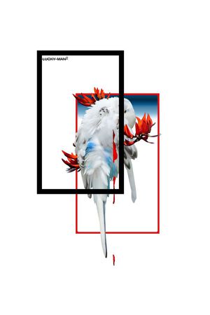 时尚男士花型鹦鹉热带花结合印花花型图片