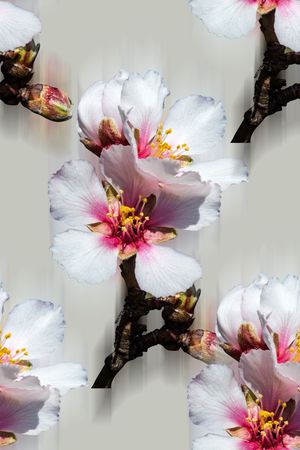时尚潮流女装裙子外套花卉数码印花印花花型图片