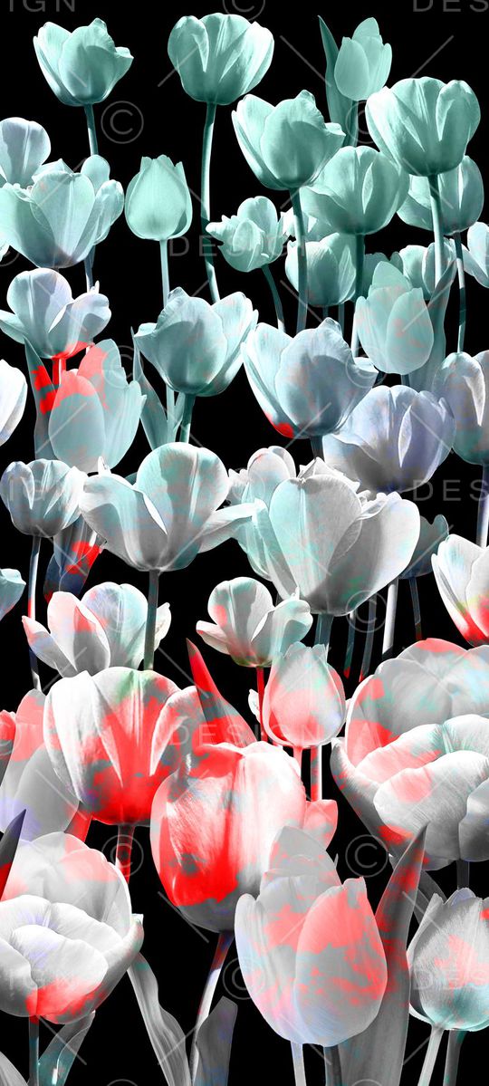 乱花印花花型图片