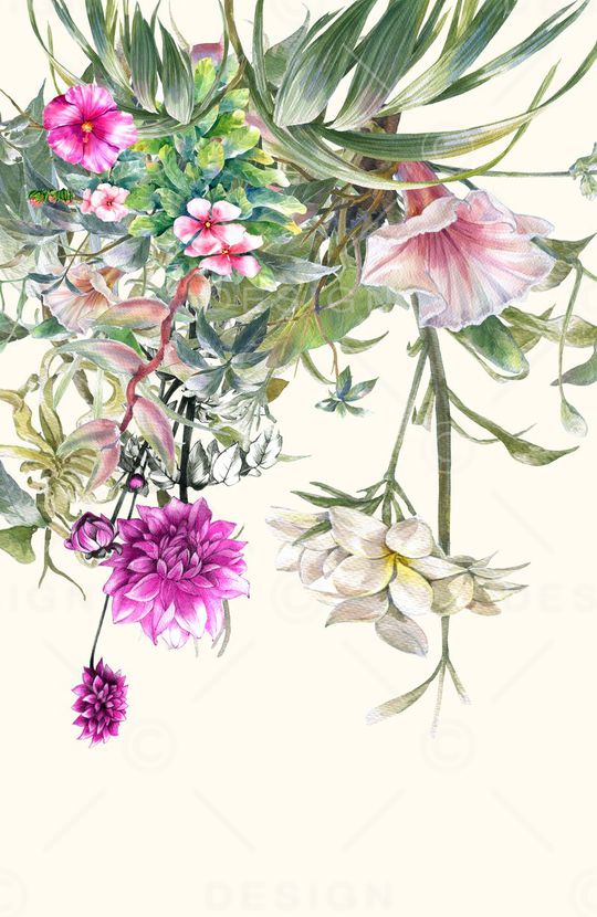 定位印花花型图片