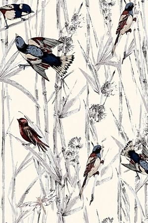 杜嘉班纳印花花型图片