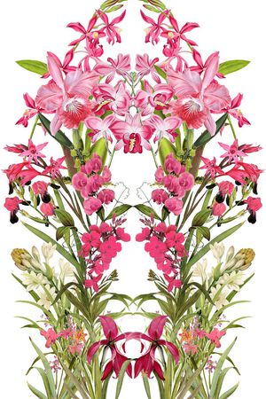 水仙花印花花型图片