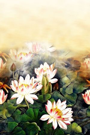 中老年印花花型图片