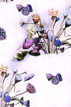荷花印花花型图片