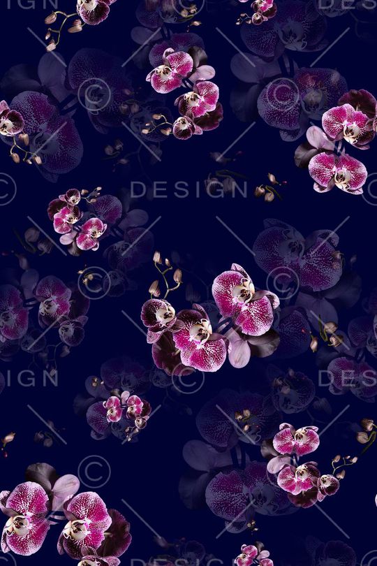 兰花印花花型图片