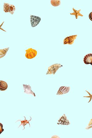海螺、海洋生物印花花型图片