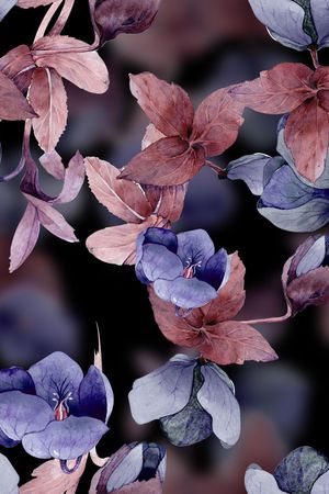 花瓣印花花型图片
