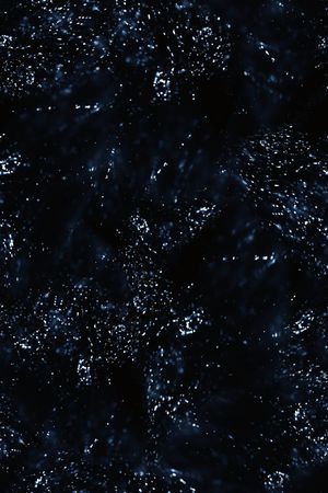 圆点印花花型图片