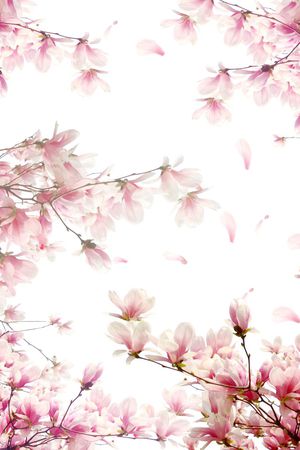 桃花印花花型图片