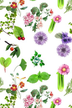 莫妮卡-女装花型印花花型图片