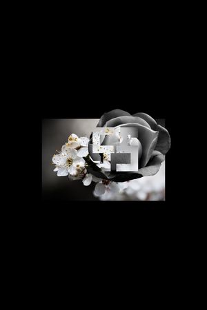 个性印花花型图片