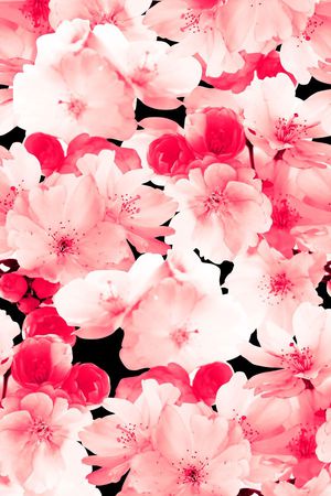 花卉、桃花、单色、模糊效果印花花型图片