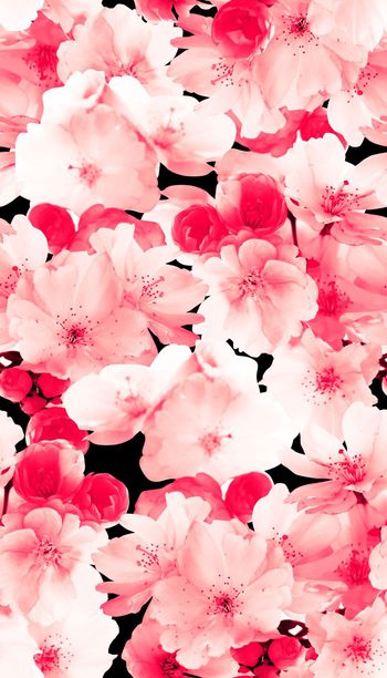 花卉、桃花、单色、模糊效果印花花型图片