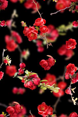 时尚抽象3D花卉数码印花印花花型图片