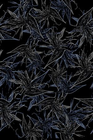 男装印花花型图片