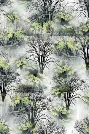 枯树印花花型图片