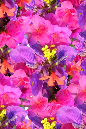 秘密3.0【植物花卉】印花花型图片