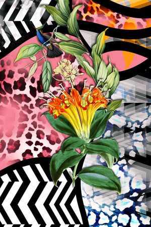 黑白条纹、豹纹、热带花、树叶、动物印花花型图片