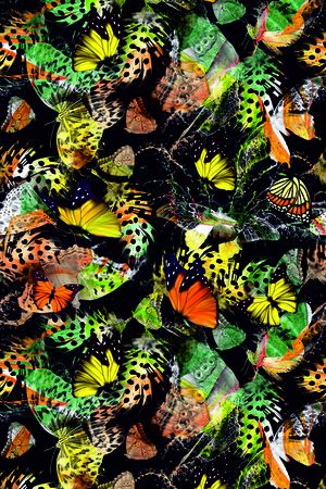 butterflies印花花型图片