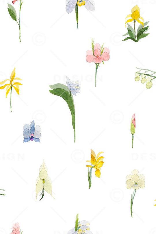 女装印花花型图片