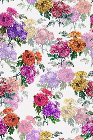 水彩、浪漫、花卉、女装印花花型图片