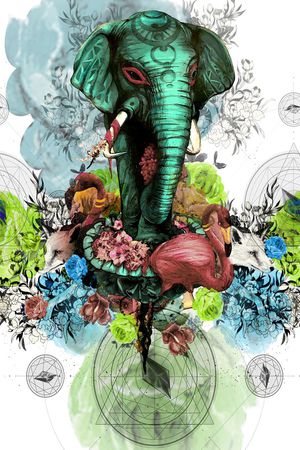 花卉印花花型图片