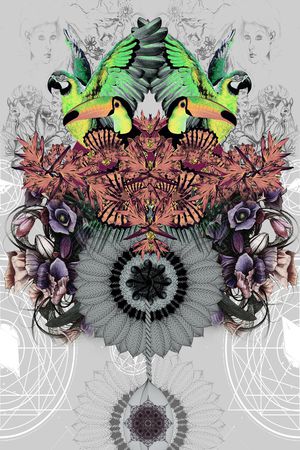 花朵印花花型图片
