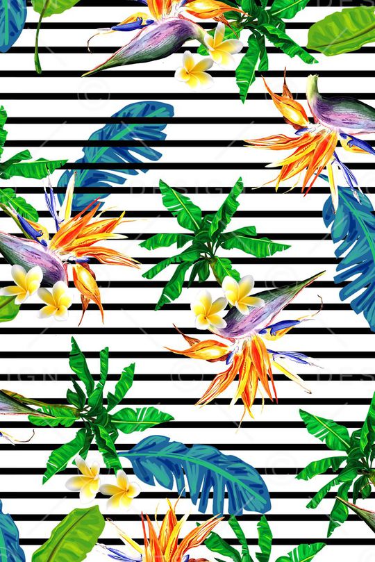 热带印花花型图片
