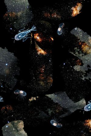 星空印花花型图片