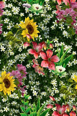 花朵印花花型图片