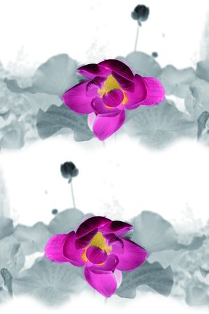 荷花印花花型图片