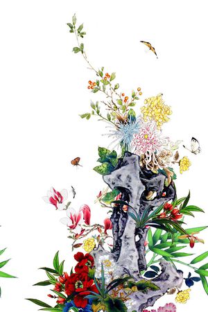 菊花印花花型图片