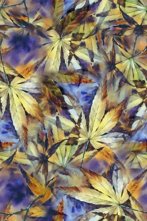水彩印花花型图片