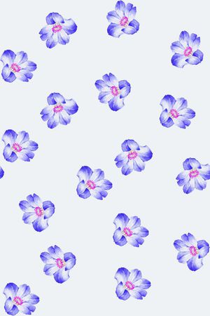 花朵印花花型图片
