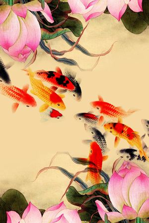 中国风荷花长围巾印花花型图片