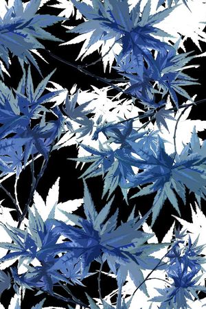 叶子印花花型图片