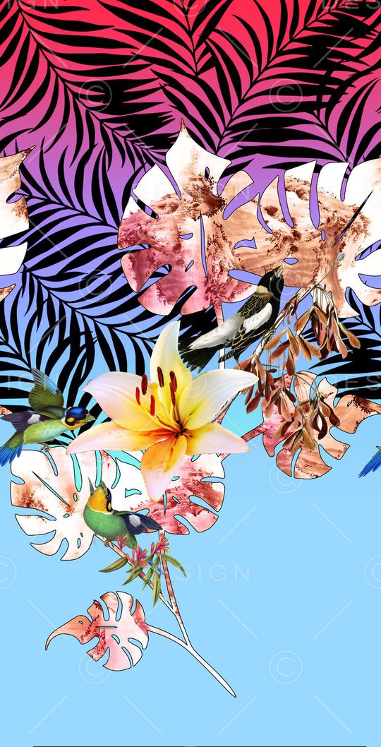 花卉、树叶、渐变印花花型图片